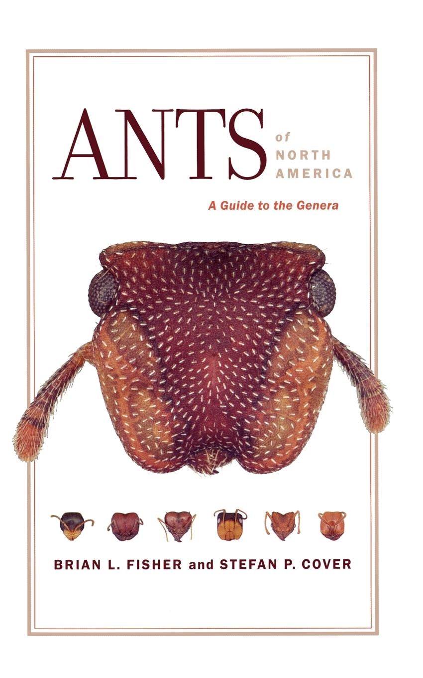 Book cover image for Ants of North America ISBN: 9780520934559
